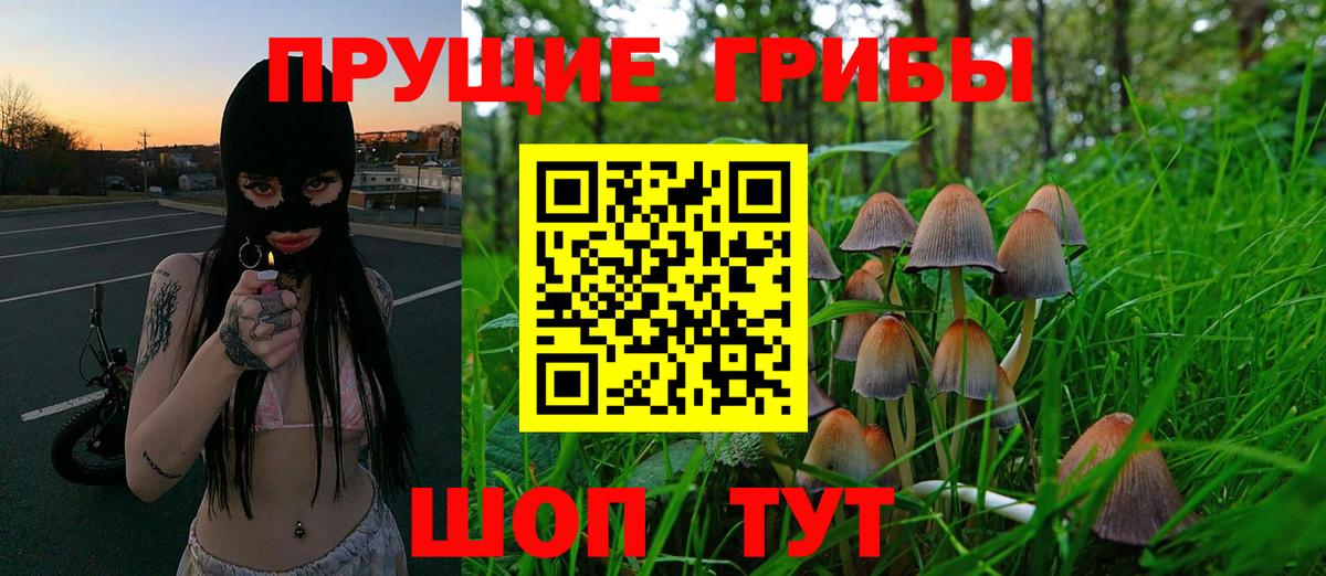 Галлюциногенные грибы Cubensis Сегежа
