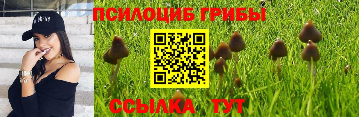 Псилоцибиновые грибы ЛСД  Галлюциногенные грибы MAGIC MUSHROOMS  Сегежа  где продают   Вход с VPN 